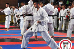 1° CAMPIONATO ITALIANO WUKA OPEN